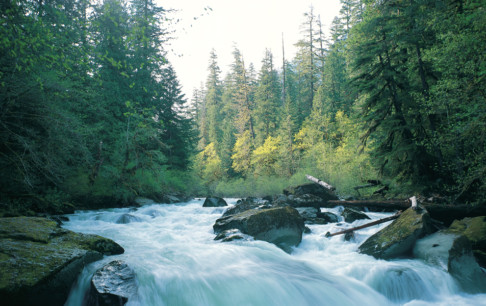 Ross Hamilton Staircase Rapids 13.4 GC