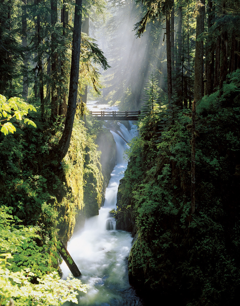 Sol Duc Falls 20.5 GC